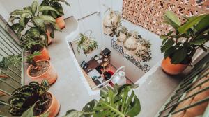 Centro Hostel Medellin