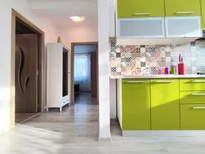 Quiet and Cozy 2 bedroom flat with free parking included - Nădăşelu
