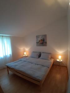 Apartman Virić