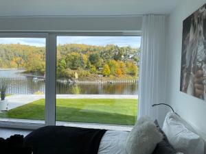 Apartments Saaldorf-Ferienhaus mit 6 Apartments 45qm-120qm direkt am Thüringer Meer-Bleilochtalsperre