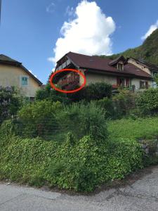 Appartements COTES ET LAC - Charme, Parking, Proche Lac et Randonnee : photos des chambres