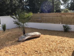 Villas Du sable et des pins : photos des chambres