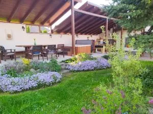 Ribizli Vintage Vendégház - Bodony