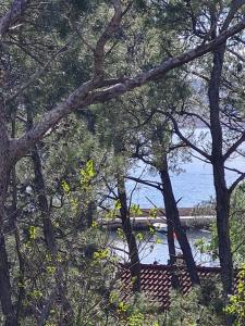 Apartment with Forest & Sea View