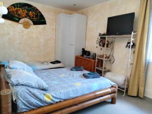 B&B / Chambres d'hotes Villa Les Marmottes : photos des chambres