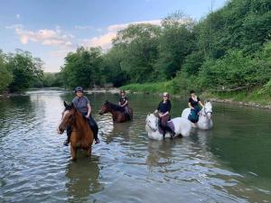 Ośrodek Jeździecki Tarpan latający Holender