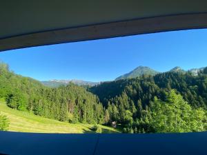 Wohnung Staufenblick und Wohnung Firstblick