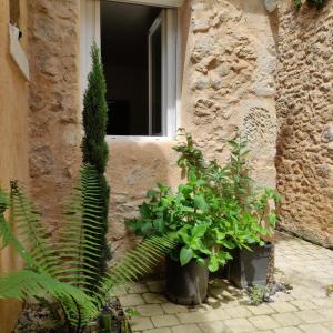 Appartements Patio en Perigord : photos des chambres