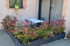 Maisons de vacances Les Terrasses de L'Oliu de L'Oustalet : photos des chambres