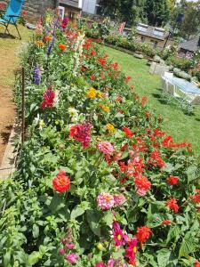 The Planters Legacy By Fairway