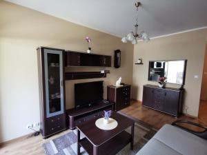 Apartament Witosa