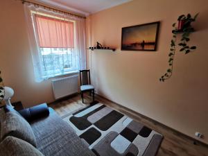 Apartament Witosa