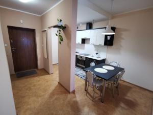 Apartament Witosa