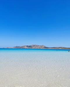 AFFITTACAMERE L'ARCOBALENO img24