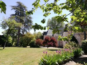 B&B / Chambres d'hotes Manoir de la Touche : photos des chambres