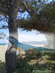 O GECKO MARIN T2 classé entre mer et village à pied