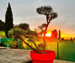 Villas Havre de paix, vue pano, terrasse, piscine, nature. : photos des chambres