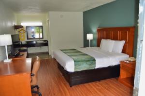 1 Queen Bed Accessible Non Smoking room in Motel 6-Hardeeville SC