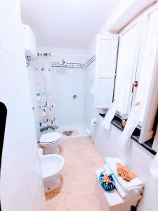 Hotel affittacamere novella