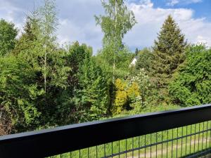 Skansen Forest