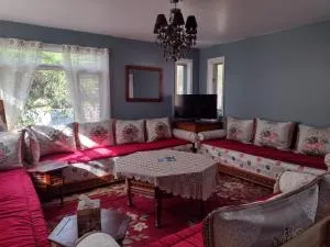 Newlife007 - Sainte-Thècle