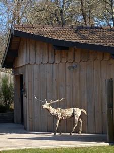 Maisons de vacances L 58 LODGE de LUXE : photos des chambres