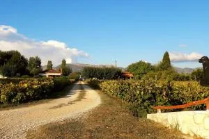 Authentic Country House in Zakynthos - Sarakinádhon
