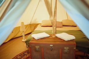 Campings Le repere du pin sec - Glamping & Surfcamp : photos des chambres
