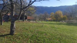 Maisons de vacances Gite BARD des OURS : photos des chambres