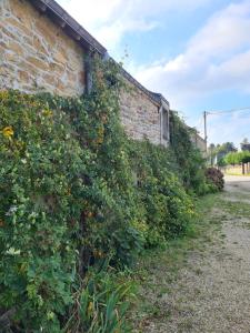 Sejours chez l'habitant Chambre Miro - Closeries du Golfe : photos des chambres