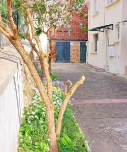 Appartements VILLA REIALA Chaville : Appartement 1 Chambre