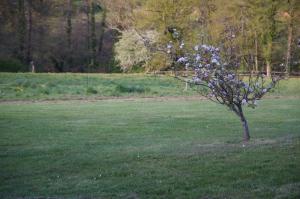 gîte le Champ Libre