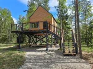 Zdalnie z Lasu - Siedlisko w Puszczy Białowieskiej - Planta