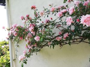 Appartements 2 Bed apartment on the Dordogne River : photos des chambres