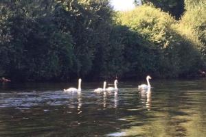 Appartements 2 Bed apartment on the Dordogne River : photos des chambres