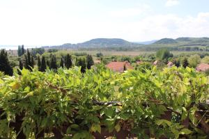 Napsugár Vendégház