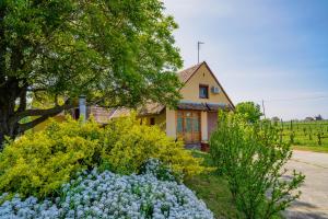 Lator-Boross Vendégház