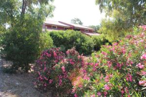 Olmedo Casa Vacanze img10