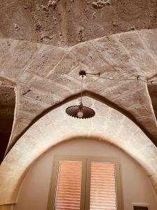 Uliveto Sant Isidoro