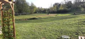 Les saules de queyssac