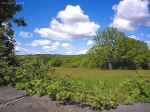 1 bedroom Annex in the heart of Amman Valley