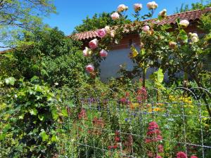 B&B / Chambres d'hotes Les Hauts de Grazac : photos des chambres