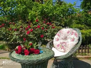 KosMaj Dan Belgrade, Sopot - Ropočevo