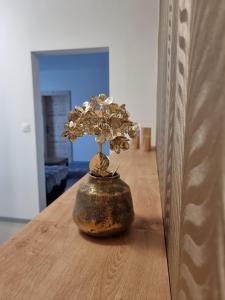 BIVIO apartment Dolná