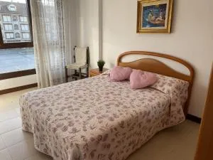 Noja Trengandin - 6036 - Trengandín