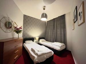 One-Bedroom Apartment room in Helvetia Plus