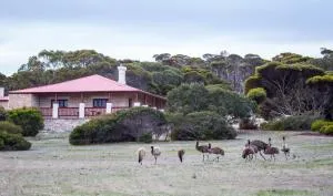 Engineers Lodge - Dhilba Guuranda-Innes National Park - Flinders Chase