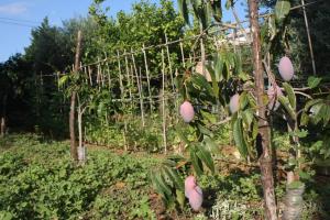 Camera indipendente con bagno immersa nel verde