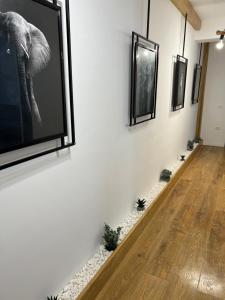 Paris Residence Targu -Jiu