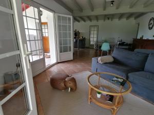 Maisons de vacances Baketsua : photos des chambres